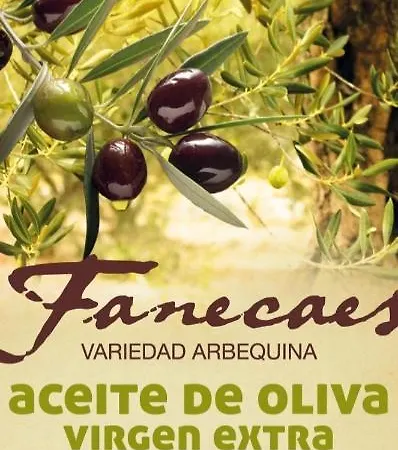 Rural Castillo De Fanecaes Hotel 3*